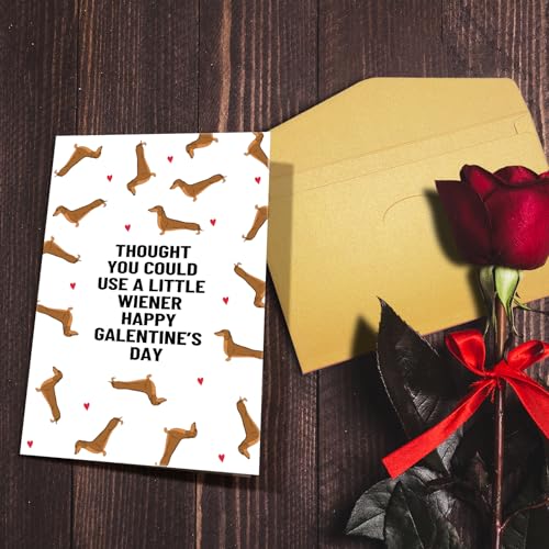 Funny Dachshund Galentine's Day Card for Best Friend, Cute Wiener Dog Greeting Card with Envelope