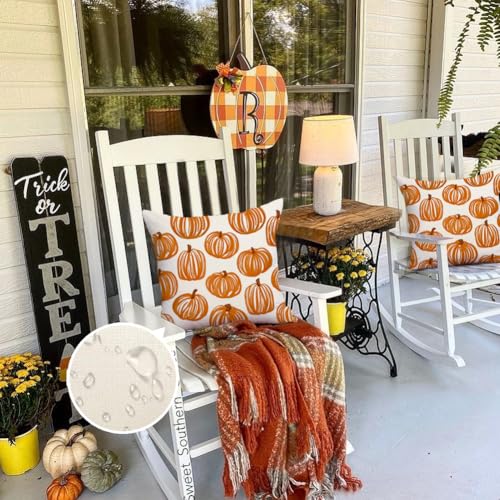 Outdoor Pillow Covers Set of 2 - 18x18 Orange Pumpkin Decor