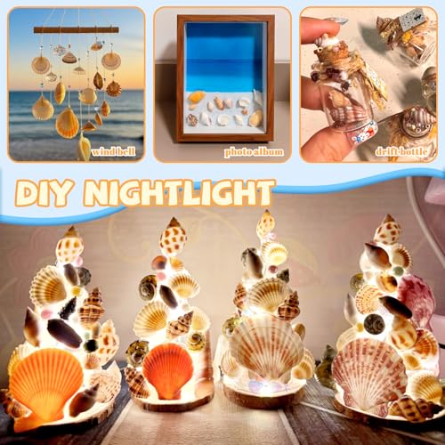 Mixed Sea Shells for Crafts, 7oz Beach Seashells & Starfish Decor