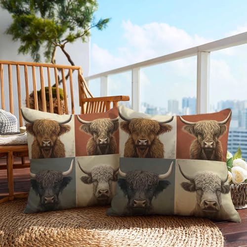 Highland Cow Throw Pillow Covers 18x18, Set of 2 Rustic Farmhouse Decor