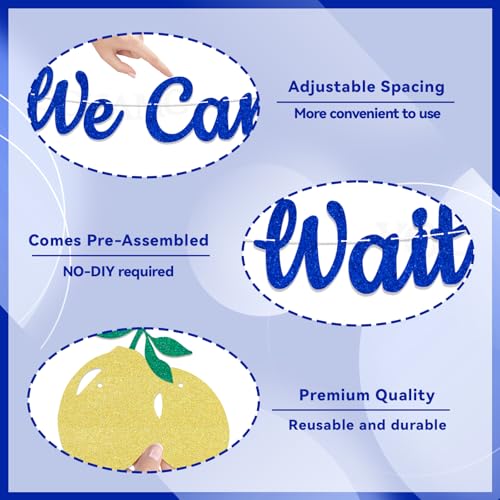 We Can't Wait To Squeeze You Banner | Italian Lemon Baby Shower Decor