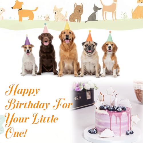 6 Mini Party Hats for Small Pets - Vibrant Birthday Cone Hats