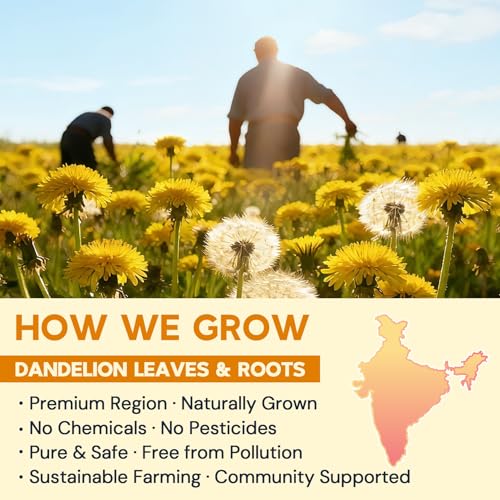 Dandelion Leaf & Root Herbal Tea - Caffeine-Free, 50 Teabags