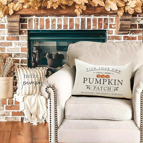 Autumn Pumpkin Patch Throw Pillow Cover - Farmhouse Style 12x20