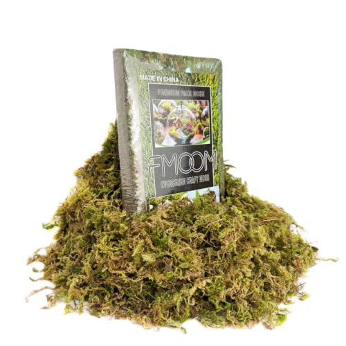 Natural Green Faux Moss - 200g Artificial Moss for DIY Decor