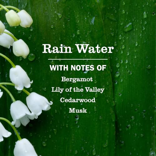 Mrs. Meyer's Clean Day Rain Water Scented Oil Diffuser Kit - 0.67 Fl Oz