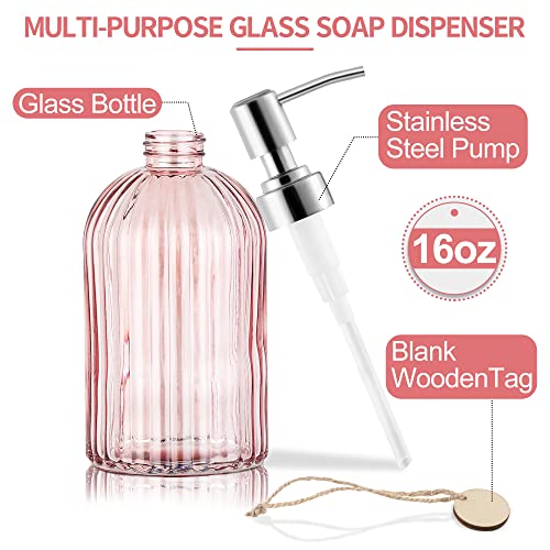 MOCLIF 16oz Clear Glass Soap Dispenser with Stainless Steel Pump