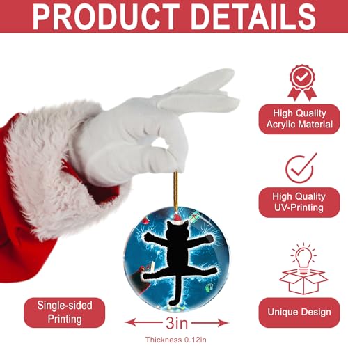 Christmas Ornament Set - Fried Cat Holiday Decorations for Tree & Home