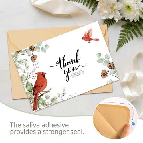 C2U 24 Pack Cardinal Sympathy Thank You Cards with Envelopes