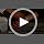 EMOME 408 Sheets Halloween Temporary Tattoos for Kids Party Favors