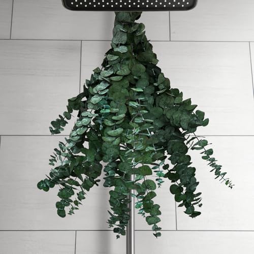 12 PCS Preserved Eucalyptus Stems - 17” Natural Aromatic Decor