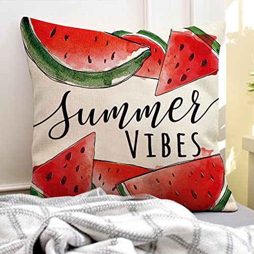 Summer Watermelon Throw Pillow Covers 20x20 Set of 4, Farmhouse Cushion Cases