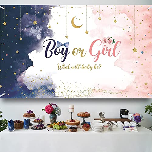 Gender Reveal Backdrop Banner | Watercolor Blue Pink Stars