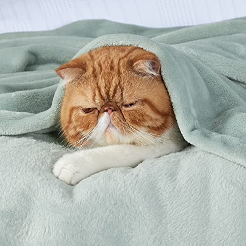 Bedsure Twin XL Fleece Blanket - Sage Green, Lightweight & Cozy