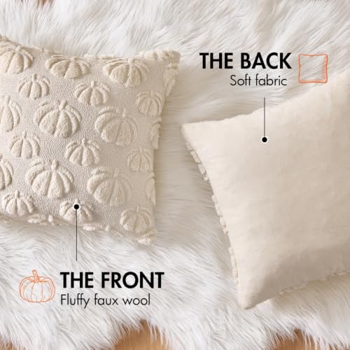 MIULEE Fall Pumpkin Throw Pillow Covers, 18x18 Inch Beige Set of 2