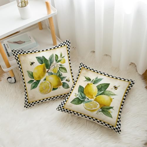 Lemon Decorative Pillow Covers 18x18 Inch Set of 2 - Black Plaid