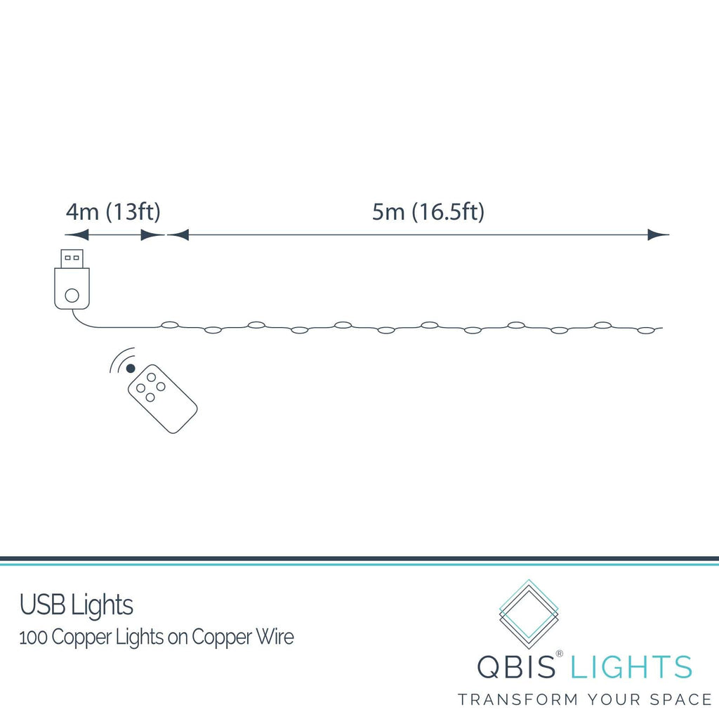 QBIS Warm White Fairy Lights on Copper Wire, 100 Micro LED String Lights with USB Plug, Timer, Multi Function, Adjust Brightness, Pretty Micro LED Christmas Lights