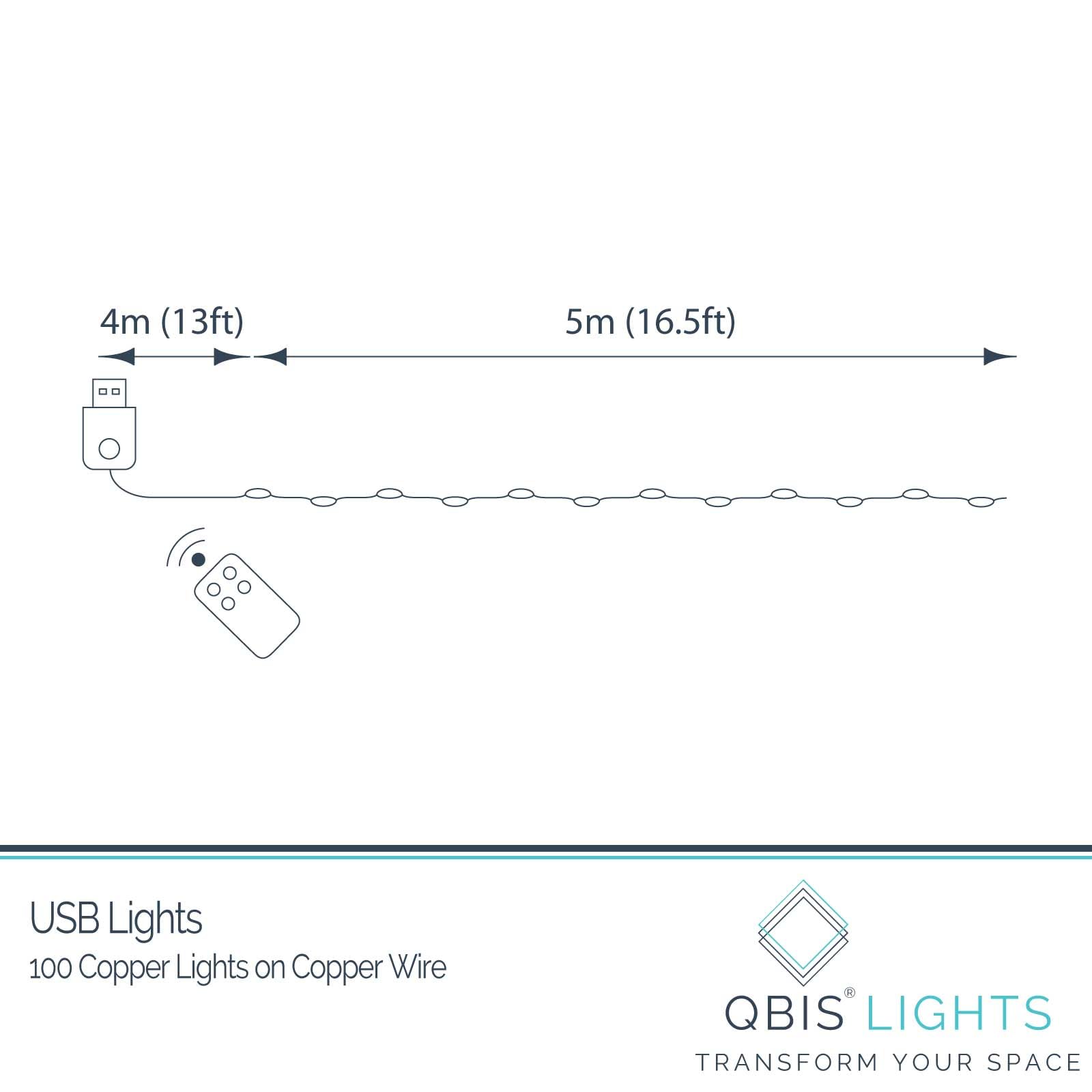 QBIS Warm White Fairy Lights on Copper Wire, 100 Micro LED String Lights with USB Plug, Timer, Multi Function, Adjust Brightness, Pretty Micro LED Christmas Lights
