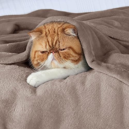 Bedsure Lightweight Plush Fleece Throw Blanket - Light Brown, 50x60 inches