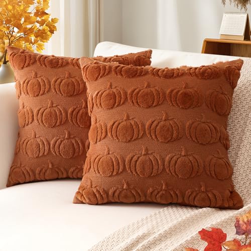 Artscope Rust Pumpkin Fall Pillow Covers 18x18, Set of 2 Faux Fur