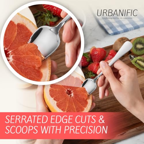Grapefruit Spoons – Serrated Stainless Steel Fruit Spoons, 2-Pack