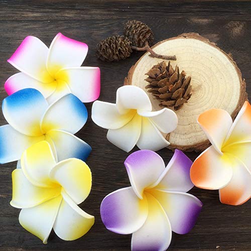 CBLUO Hawaiian Flower Hair Clips 16-Pack Plumeria Barrettes