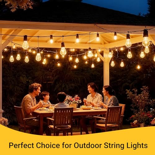 Dreecy 60 Pack Waterproof Outdoor String Light Hooks - Black