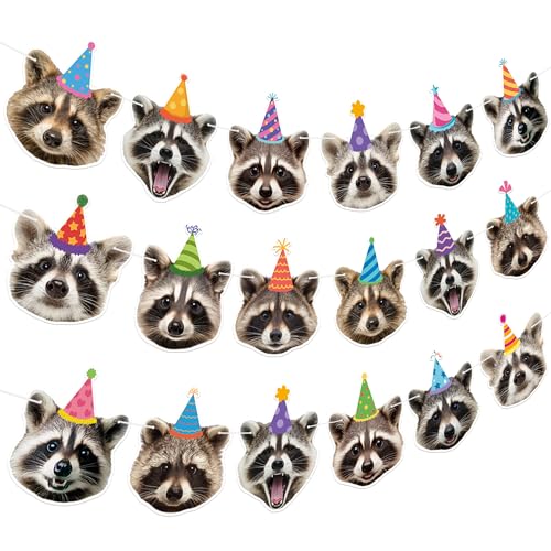 Raccoon Birthday Banner Set | 3 Pre-Strung Party Decorations