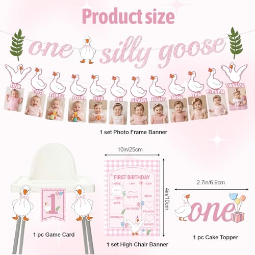 Silly Goose First Birthday Decor Set for Girls - 4 PCS