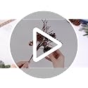 6 Pack Christmas Pinecone Picks 14.5 Inch Artificial Branches for Holiday Decor