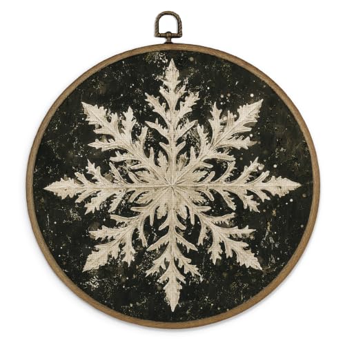 Moody Vintage Christmas Snowflake Framed Wall Art 10x10 inches - Winter10