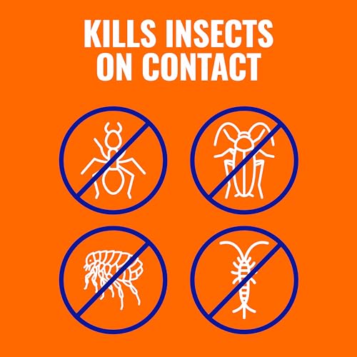 Terro Ant Killer Plus 3 lb Outdoor Pest Control Granules - 1 Pack
