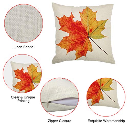 Coitak 18-Inch Fall Pillow Covers, Maple Leaves Design - 2 Pack
