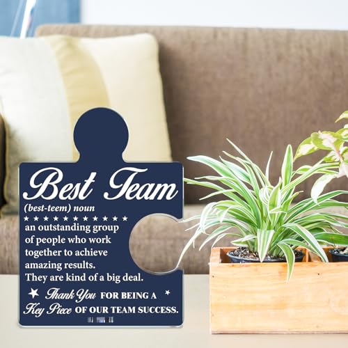 Team Appreciation Acrylic Puzzle Sign - Office Desk Decor - Variation T