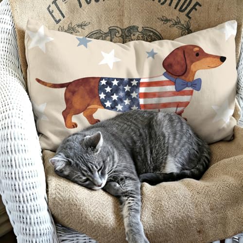 Patriotic USA Dachshund Lumbar Pillow Cover 12x20 - Americana Dog Decor
