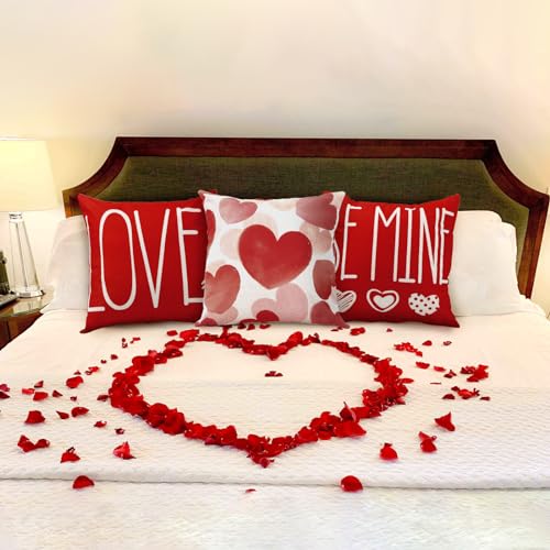 DIYDEC 4PCS Valentines Day Throw Pillow Covers, 18x18 Inch Red Heart Decor 1