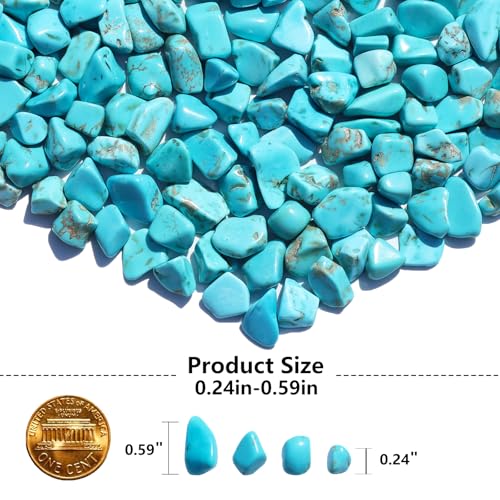 Howlite Turquoise Crystal Chips - 0.9LB Decorative Stones for Crafts & Home Decor