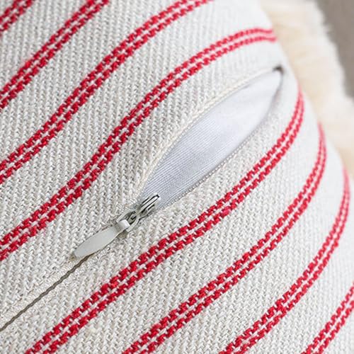 Set of 2 18x18 Inch Farmhouse Boho Throw Pillow Covers with Tassels - Neutral Cotton Decor