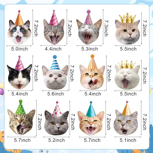 30-Piece Cat Theme Hanging Swirl Decorations for Birthday Parties