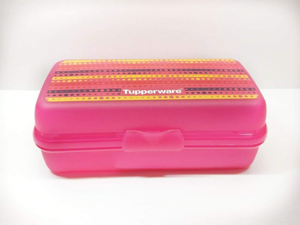 Tupperware 1 pc Large Sandwich Keeper