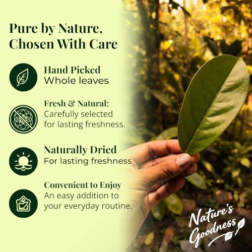 200+ Dried Soursop Leaves - Whole Herbal Tea for Wellness, Pack of 200