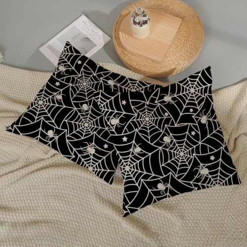 DAFENA Halloween Spider Web Throw Pillow Covers 18x18 Inch - 2 Piece Set