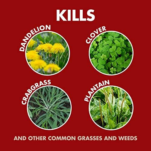 Spectracide Weed & Grass Killer Concentrate - 1 Gallon for Driveways & Walkways