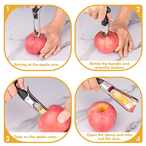 Premium Stainless Steel Apple Corer Tool with Ergonomic Handle