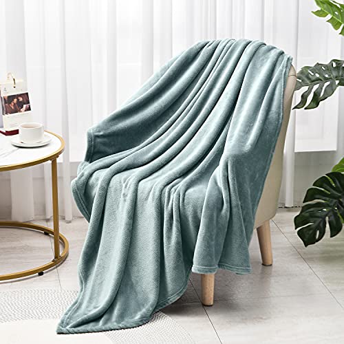 EIUE Flannel Fleece Throw Blanket, Ultra Soft Lightweight Bed Cover - Green Grey, 40x60