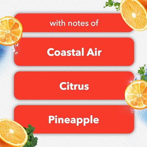 Glade PlugIn Refills Coastal Sunshine Citrus Scented Oil with Starter Kit, 0.67 Fl Oz