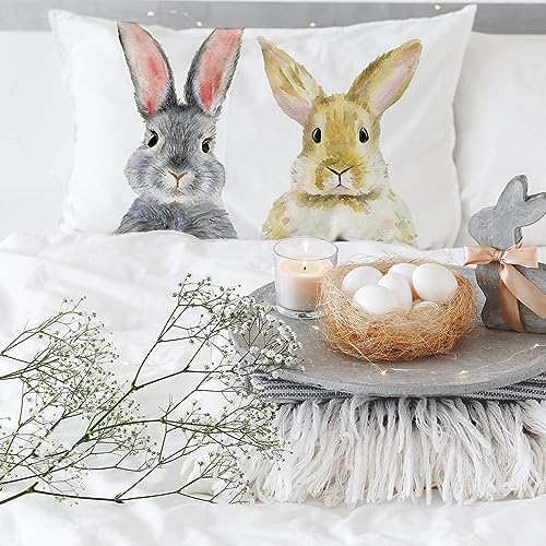 Easter Bunny Lumbar Throw Pillow Cover 12x20 Inch Spring Rabbit Cushion Case