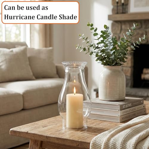 Lumpro 3-Inch Base Clear Glass Oil Lamp Chimney Replacement Shade
