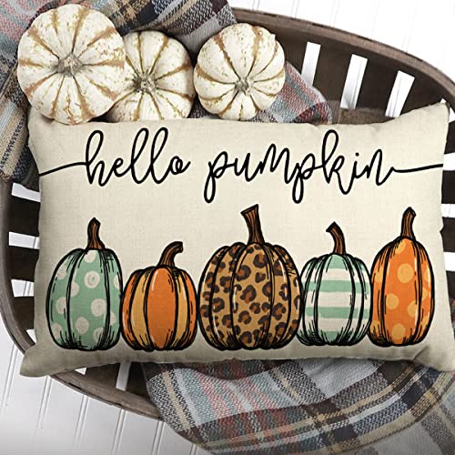 Fall Lumbar Pillow Cover Hello Pumpkin Autumn Decorative Throw Pillow