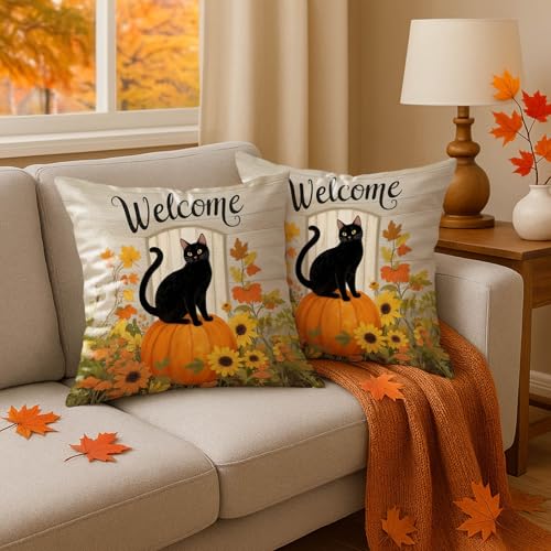 Set of 2 Fall Black Cat Pumpkin Pillow Covers - 18x18 Inch Double-Sided